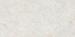 Dual Pure White 30x60